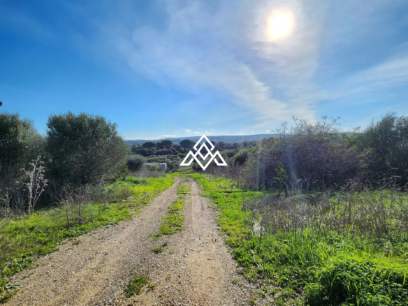 Plot in Sotogrande Alto