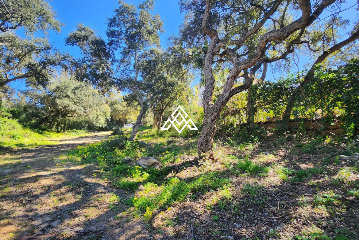 Urban Plot Sotogrande – Flat 1,030 m² Plot in Sotogrande Alto