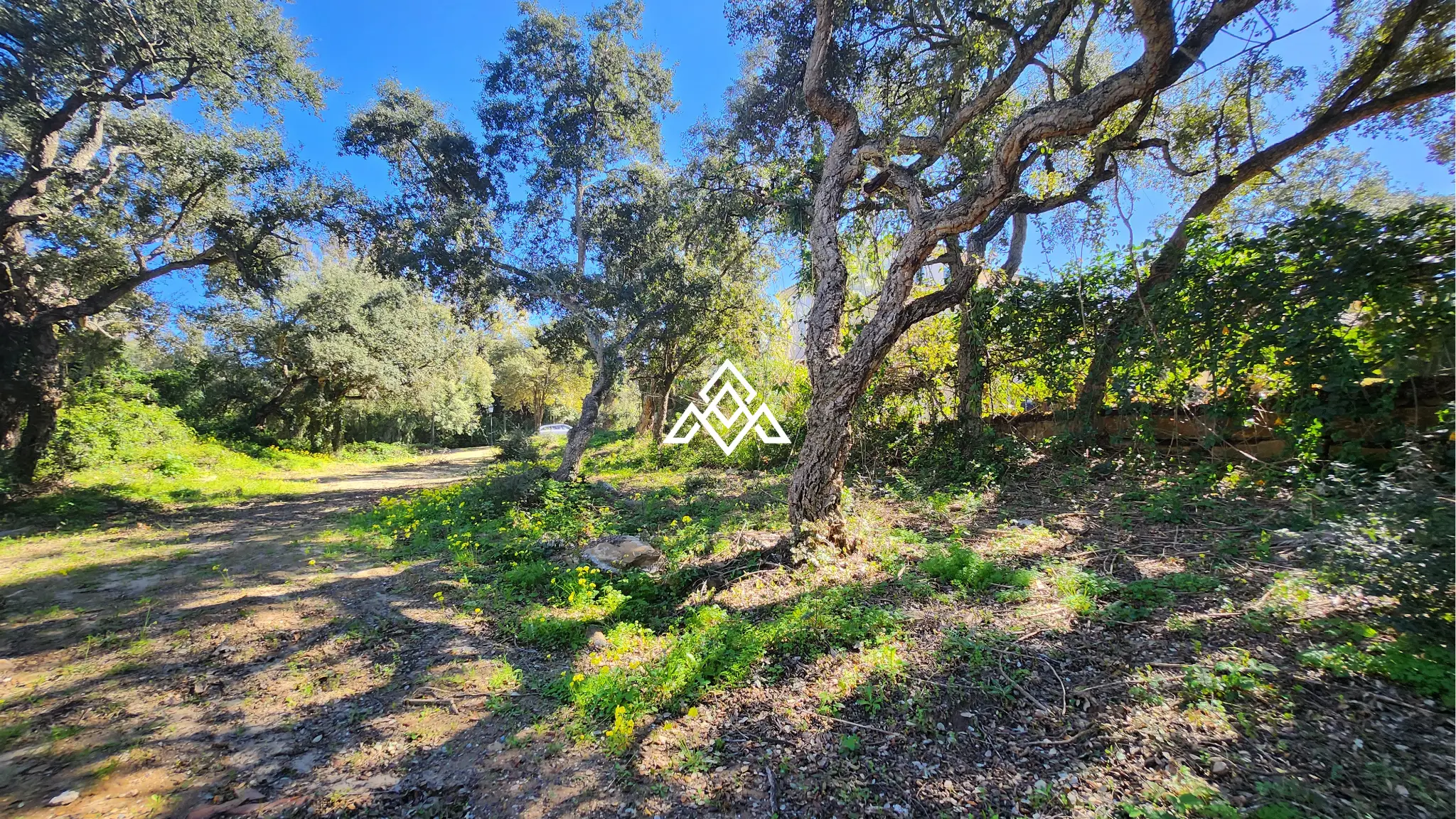 Urban Plot Sotogrande – Flat 1,030 m² Plot in Sotogrande Alto