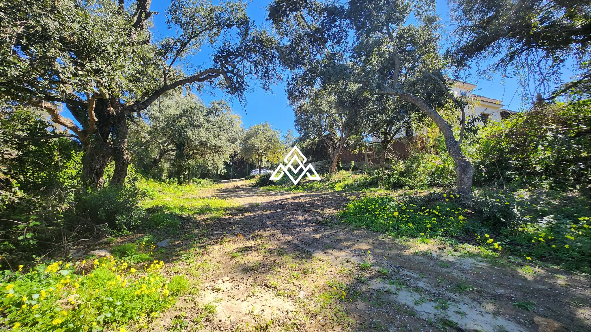 Urban Plot Sotogrande – Flat 1,030 m² Plot in Sotogrande Alto