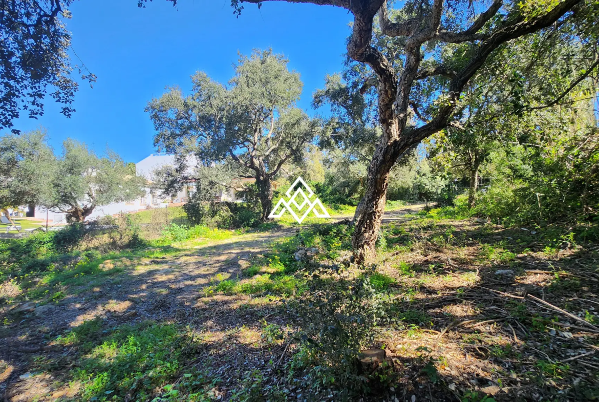 Urban Plot Sotogrande – Flat 1,030 m² Plot in Sotogrande Alto
