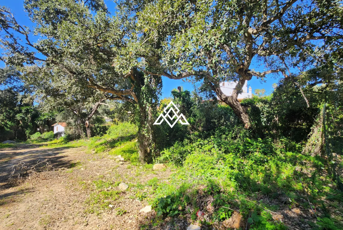 Urban Plot Sotogrande – Flat 1,030 m² Plot in Sotogrande Alto