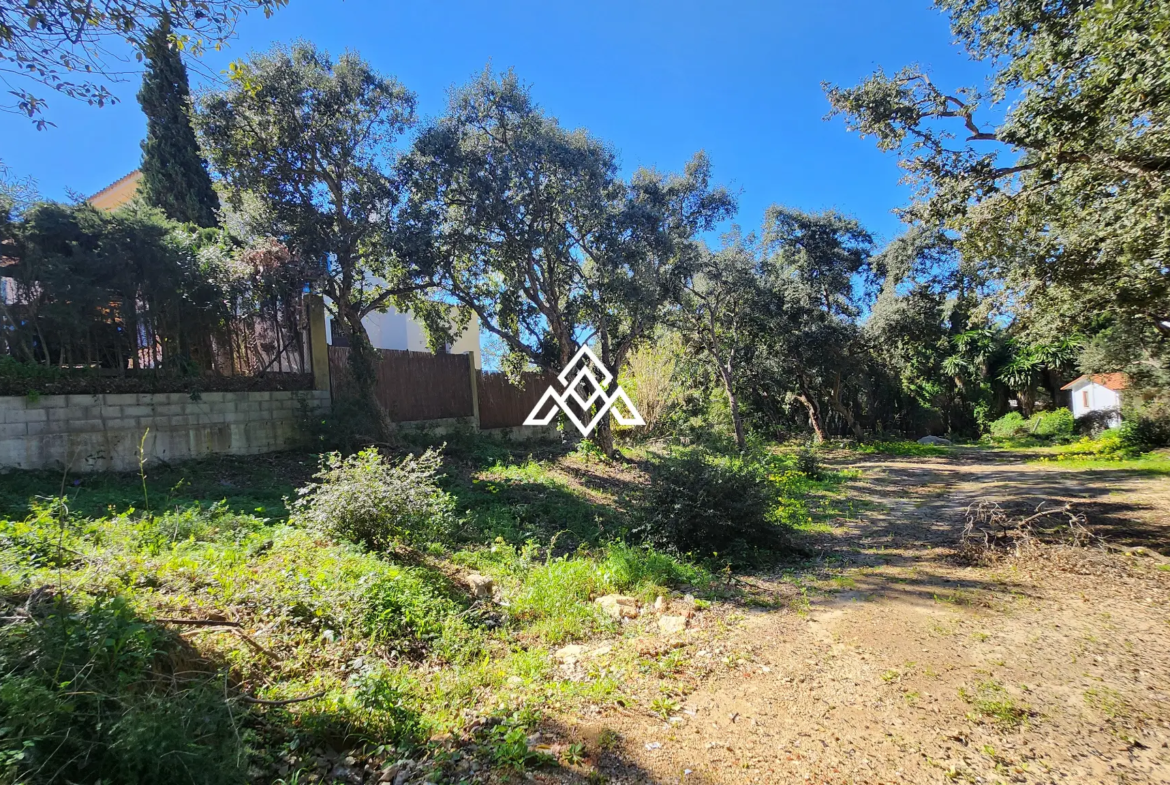 Urban Plot Sotogrande – Flat 1,030 m² Plot in Sotogrande Alto