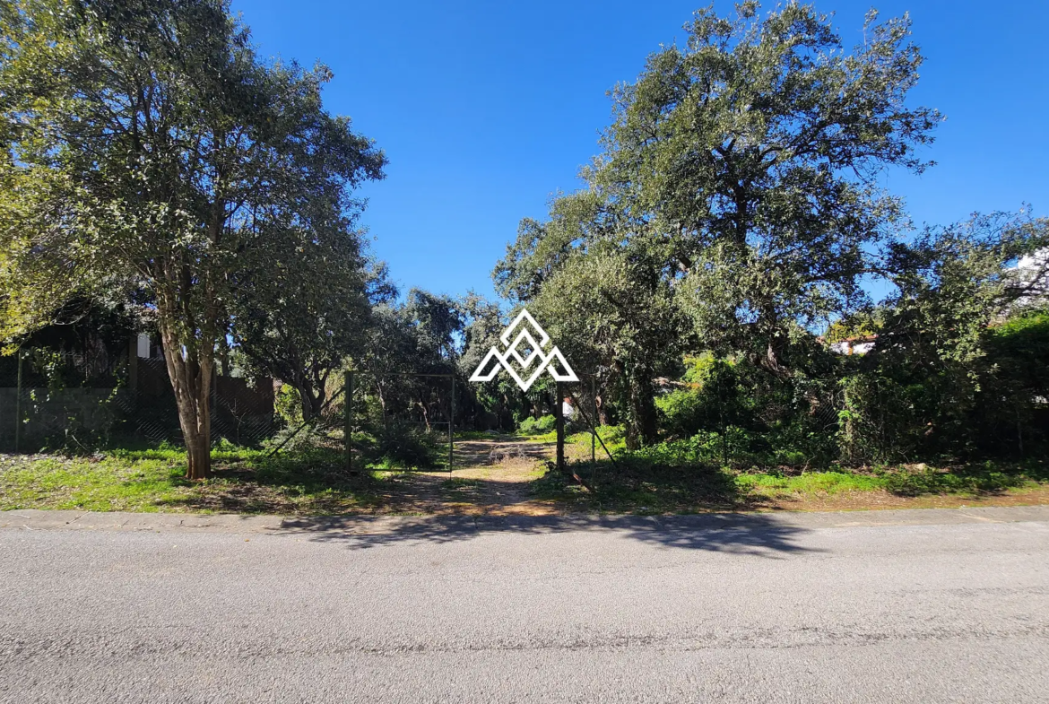 Urban Plot Sotogrande – Flat 1,030 m² Plot in Sotogrande Alto