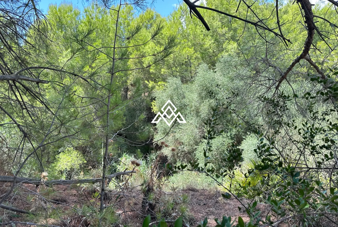 Valtocado urban plot in Mijas with panoramic sea views, up to 5,000 m² of land and residential building potential. Prime Spain real estate opportunity.
