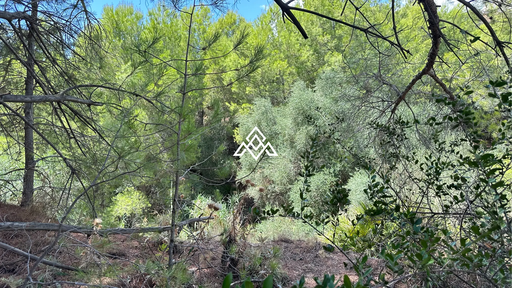 Valtocado urban plot in Mijas with panoramic sea views, up to 5,000 m² of land and residential building potential. Prime Spain real estate opportunity.