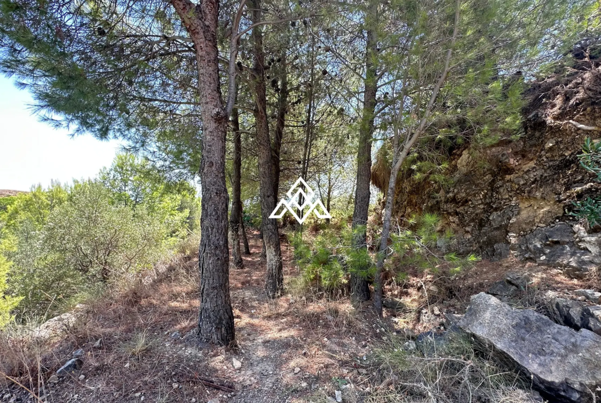 Valtocado urban plot in Mijas with panoramic sea views, up to 5,000 m² of land and residential building potential. Prime Spain real estate opportunity.