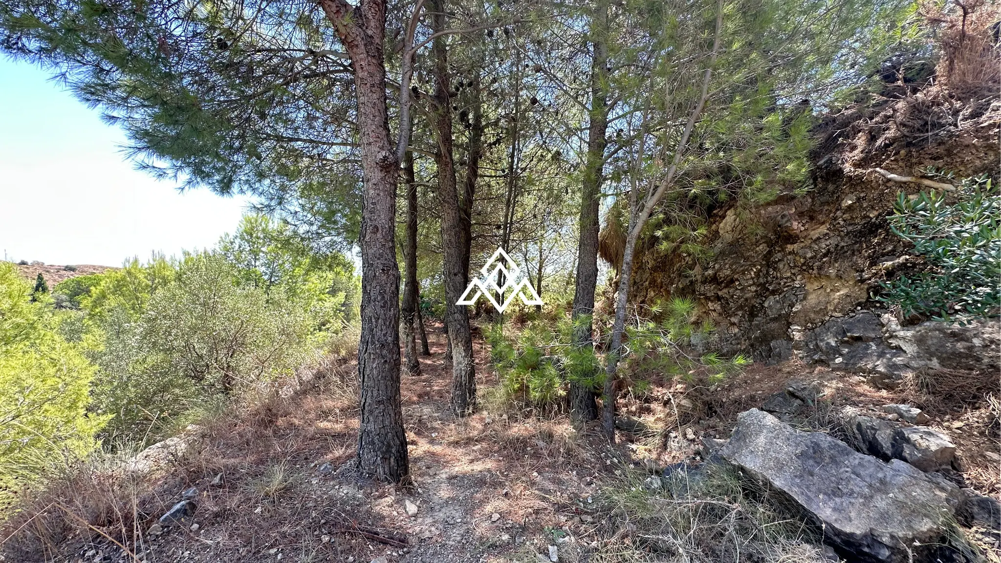 Valtocado urban plot in Mijas with panoramic sea views, up to 5,000 m² of land and residential building potential. Prime Spain real estate opportunity.